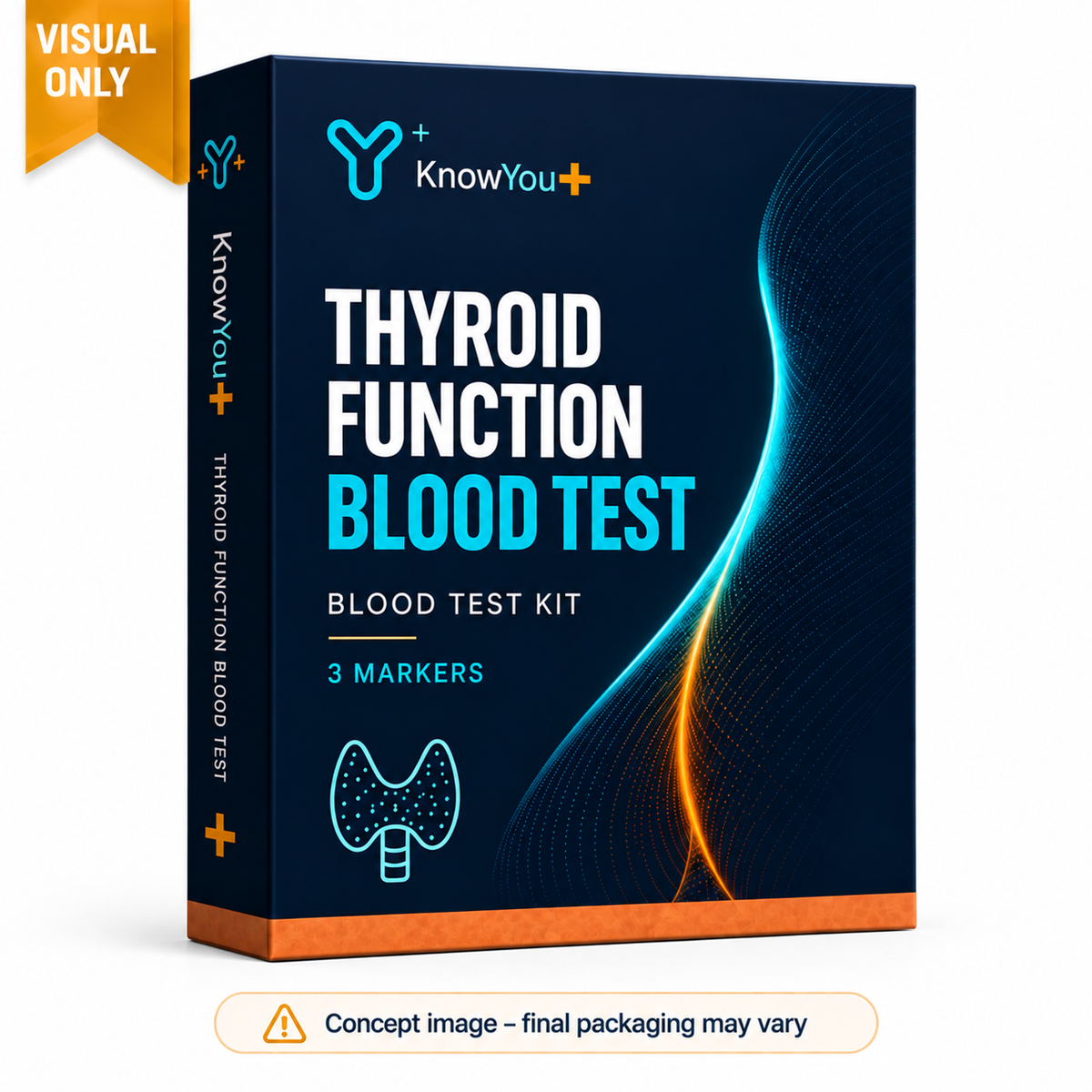 Thyroid Function Blood Test