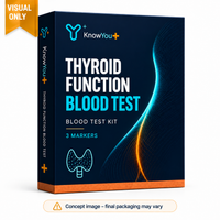 Thyroid Function Blood Test