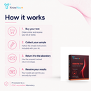 Ferritin Test