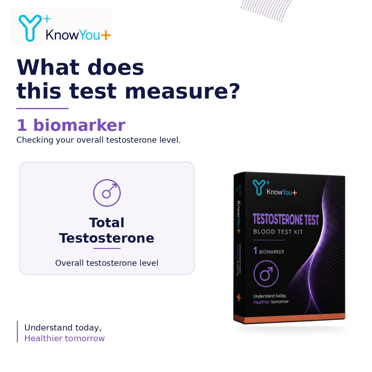 Testosterone Test