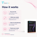 Testosterone Test